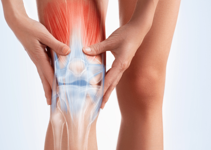 Untitled 700 x 500 px 3