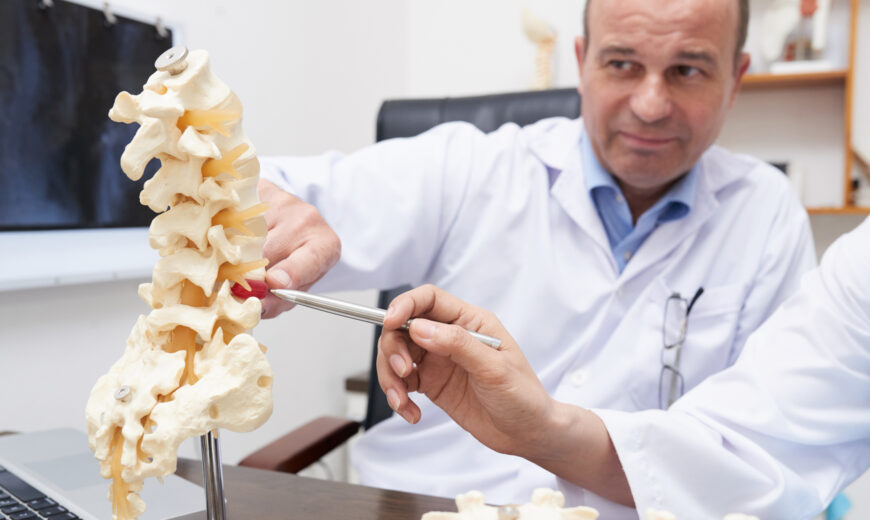 osteopath pointing spine inflammation model medical office
